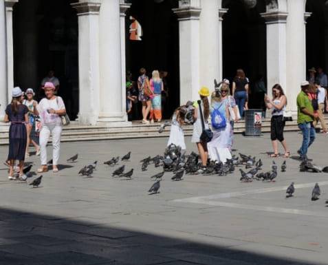 온라인 커뮤니티