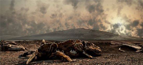 (사진=내셔널지오그래픽채널)