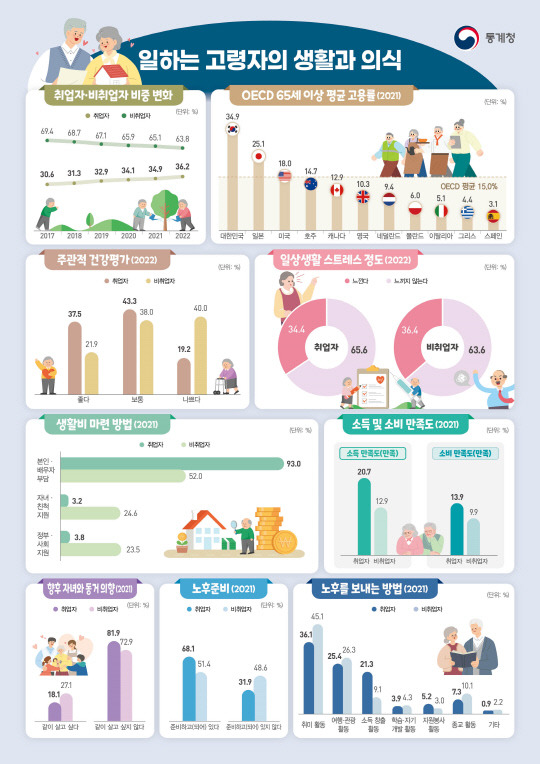 일하는 고령자의 생활과 의식 인포그래픽. [통계청 제공]