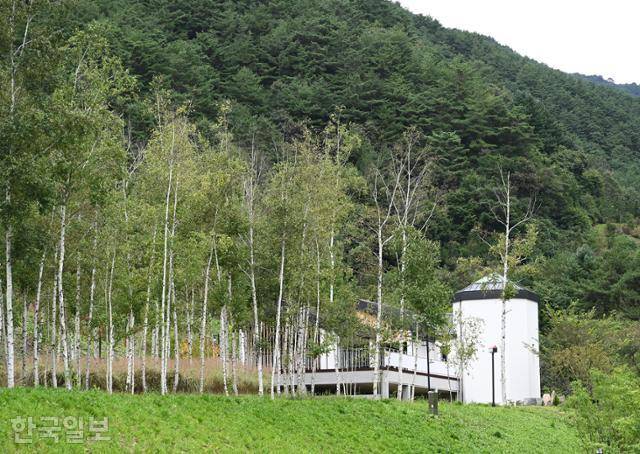 영월 상동읍 하이힐링원은 강원랜드 사회공헌재단이 만든 시설이다. 숲에서 진행하는 여러 프로그램을 통해 일상의 행위중독에서 잠시나마 벗어날 수 있는 곳이다.