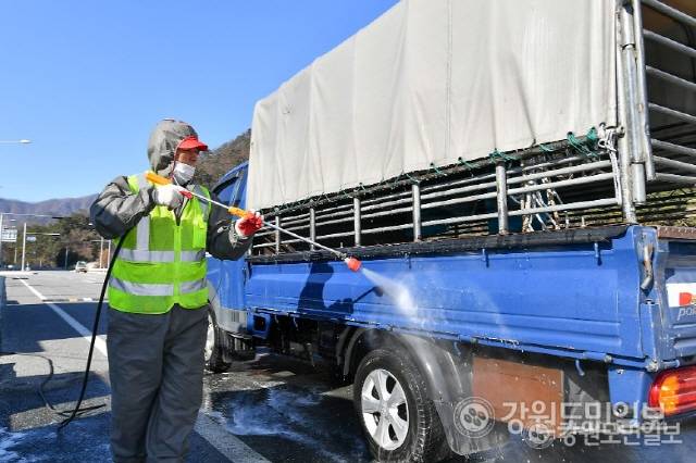 ▲ 아프리카돼지열병(ASF) 방역 [강원도민일보 자료사진]