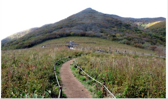 국립공원 설악산 곰배골길 [국립공원공단 제공]