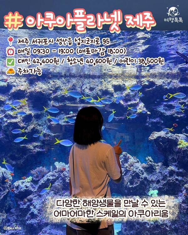 ⓒ여행톡톡 제주 아쿠아플라넷