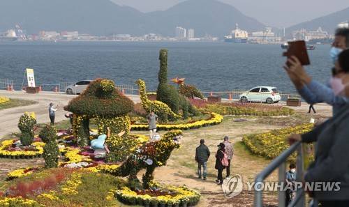 바다가 보이는 마산국화축제 [연합뉴스 자료 사진]