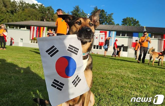 마리노이즈 개 이케가 20~24일 오스트리아 빈에서 열린 '제27회 국제인명구조견 월드챔피언십'에서 1위를 차지했다.(한국인명구조견협회 제공) ⓒ 뉴스1