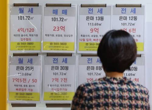 지난해 서울 은마아파트 단지 앞 부동산 중개업소에서 시민이 관련 매물 정보를 살피고 있는 모습. /연합뉴스