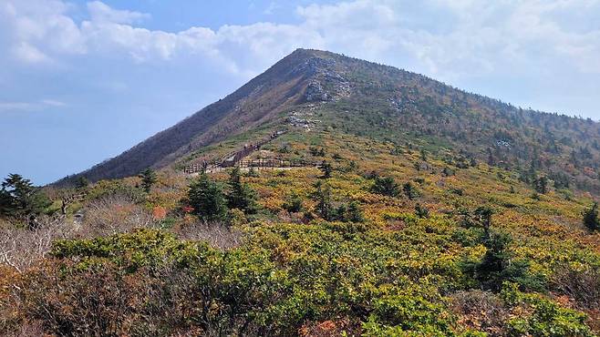 [기상청 제공]