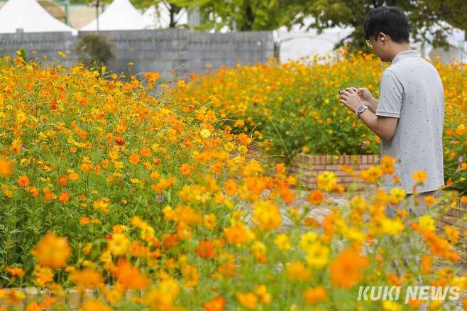 27일 오후 경기 고양시 일산호수공원에서 열린 2023 고양가을꽃축제를 찾은 시민이 꽃놀이를 즐기고 있다.