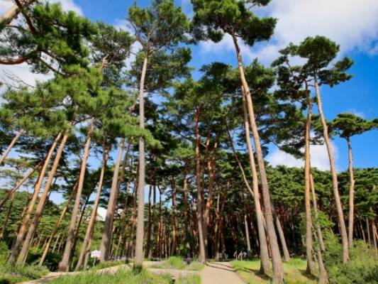 온라인 커뮤니티