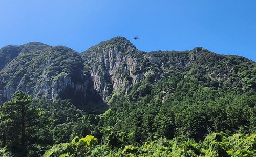 지난 8일 서귀포시 안덕면 산방산 조난객 구조하러 출동한 소방 헬기 [제주서부소방서 제공. 재판매 및 DB 금지]