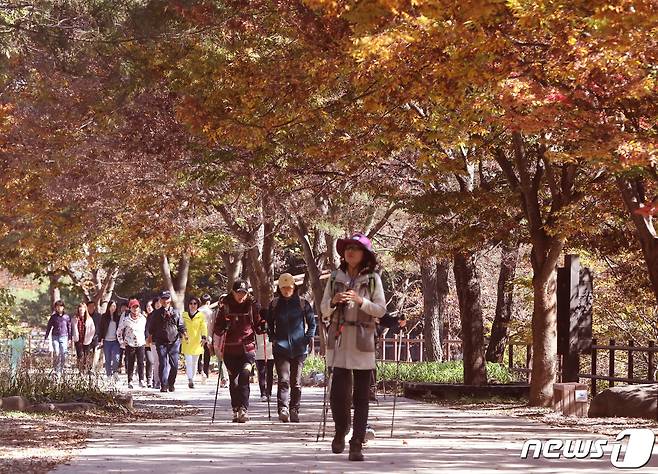 1일 대전·충남은 내륙을 중심으로 아침 기온이 10도 내외로 쌀쌀하겠다.  대전시 유성구 계룡산 수통골을 찾은 나들이객이 울긋불긋한 단풍을 구경하며 산행을 하고 있다. /뉴스1 ⓒ News1 주기철 기자