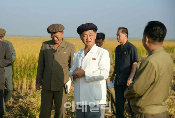 북한 노동당 기관지 노동신문은 2일 “김덕훈 내각총리가 평원군·숙천군·룡천군·염주군·선천군 등 여러 군의 가을걷이와 낟알털기 실태를 구체적으로 점검했다＂라고 전했다. (제공=뉴스1)