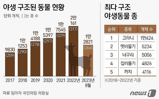 ⓒ News1 김지영 디자이너