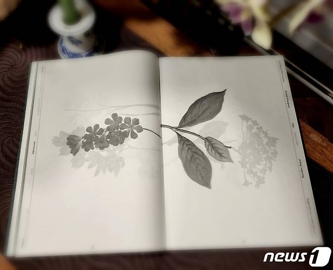 2022 네덜란드 최고의 책 디자이너 33인에 선정된 이우복씨의 작품 '블룸'/출처-이우복 씨