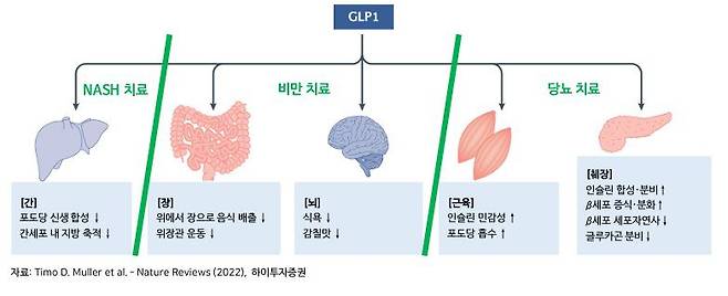 GLP-1./조선DB