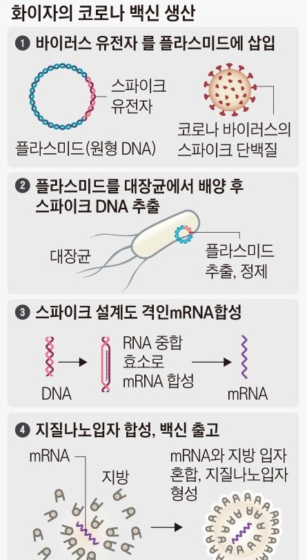 조선DB