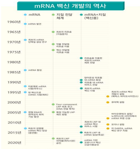 mRNA 백신 개발의 역사. 사진 제공=한국바이오협회·네이처 브리핑 재구성