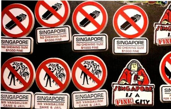 파인시티 싱가포르 / 온라인커뮤니티