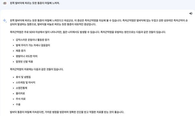 기자가 구글의 'BARD'와 나눈 대화 일부 캡처. [사진=코메디닷컴 DB]