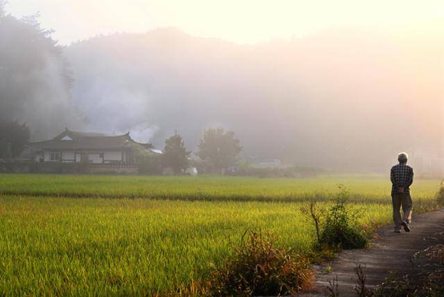 추석을 앞둔 경북 봉화군 닭실마을에 날이 밝아왔다. 이른 새벽 논을 둘러보는 촌로 옆으로 아침을 준비하는 집에서는 굴뚝 연기가 모락모락 피어오른다.