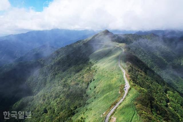 일본 에히메현과 고치현의 경계인 해발 1,500m 안팎의 산 능선을 가로지르는 UFO라인. 대중교통으로는 갈 수 없는 천공의 드라이브 코스다.