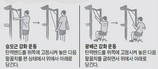 등 근육 단련 운동./사진=헬스조선 DB