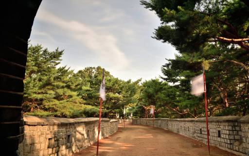 노송이 늘어선 아늑한 용도는 마음을 편안하게 해주는 공간이다. 이강웅 고건축가 제공
