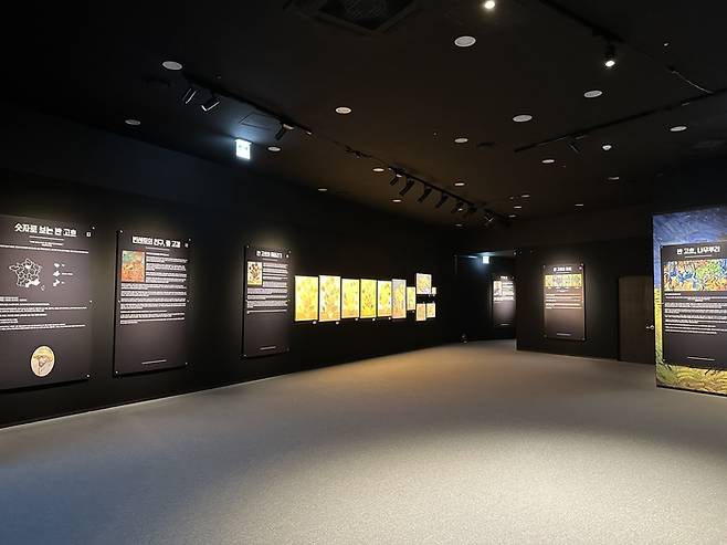 반 고흐 일생을 담은 전시. /사진= 강예신 여행+ 기자