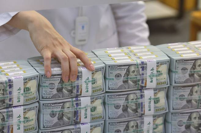 지난 5월 4일 오후 서울 중구 하나은행 위변조대응센터에서 직원이 달러화를 정리하고 있다.(사진=연합뉴스)