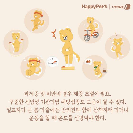 강아지 호흡기 질환 펫카드