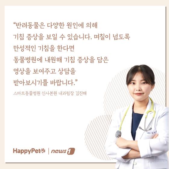 강아지 호흡기 질환 펫카드