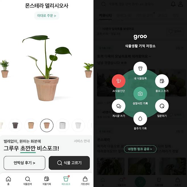'비스포크 스토어(왼쪽)'와 사진으로 식물의 질병을 진단해주는 'AI 진단' 서비스. / 그루우 캡처