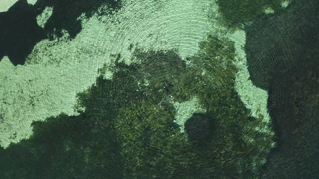하늘에서 본 서호주 샤크베이 해초대의 모습. 사진 신예민 프리랜서 촬영감독