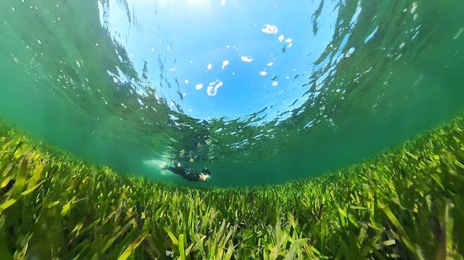 360도 카메라로 본 호주 샤크베이 해초대의 모습. 사진 스튜디오 VSS