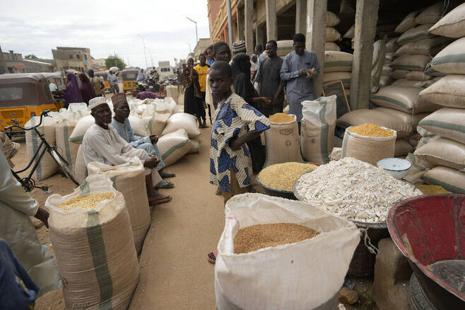 나이지리아 북부 도시 카노의 곡물 상점. 옥수수 등 곡물 가격 폭등 충격이 이 나라 양계업까지 위기로 몰아 넣고 있다. 카노/AP 연합뉴스