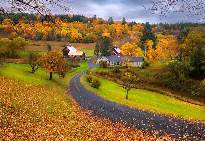 슬리피 할로우 팜 / 사진=flickr