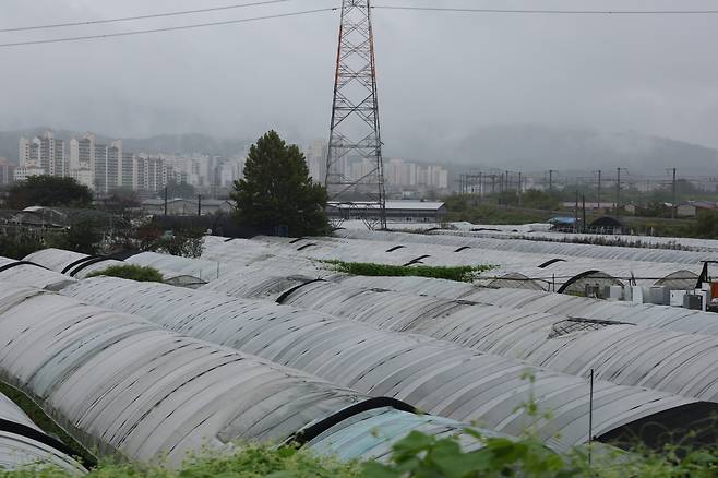 3기 신도시 대상지인 경기 남양주 왕숙지구 일대의 모습. [연합]