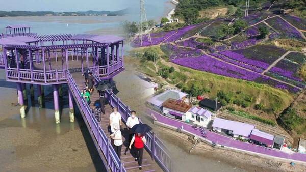 온라인 커뮤니티