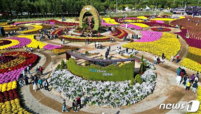 강원 인제군 용대관광지 일대서 열리고 있는 가을꽃 축제장에 꽃이 만개해 있다.(자료사진)ⓒ News1 DB