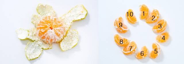 실제로 감귤 꼭지를 떼보면 꼭지 안의 구멍 개수가 과육의 개수가 일치하다는 걸 알 수 있다./사진=신지호 사진 기자