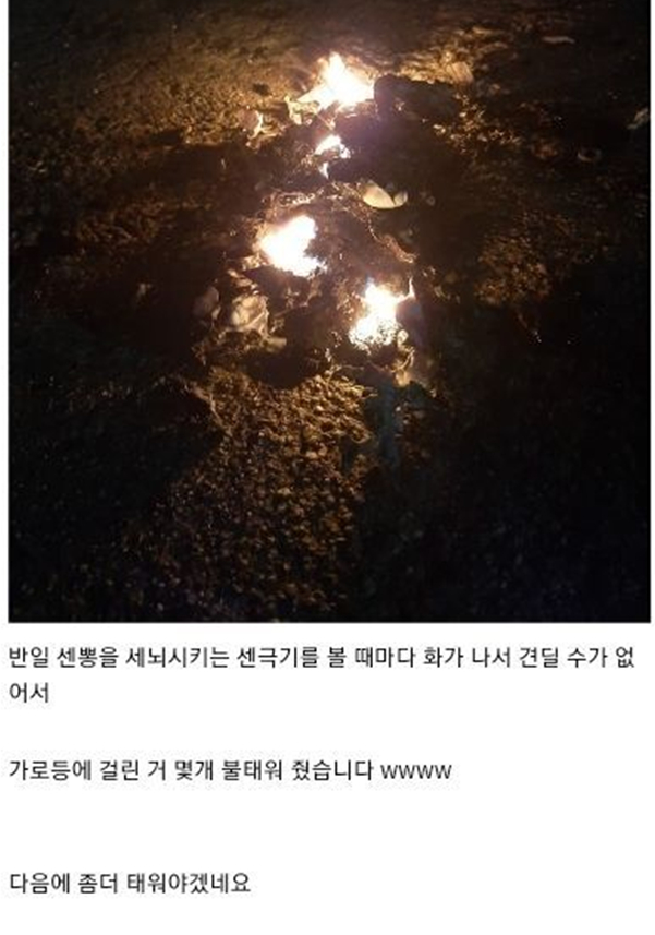 한글날 전날인 지난 8일 오전 6시25분쯤 디시인사이드에 태극기를 불태워 인증한 사진이 올라왔다. /사진=디시인사이드