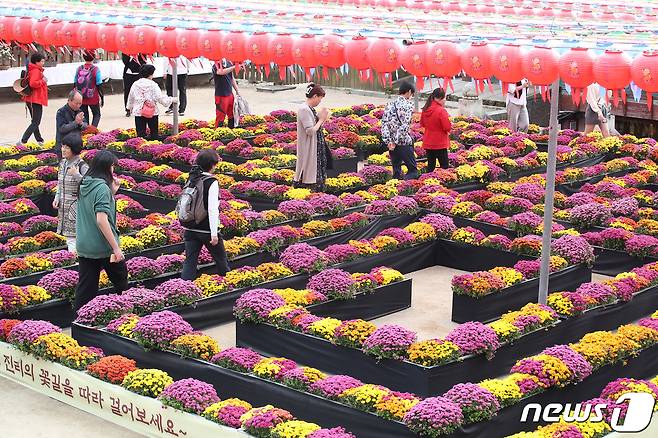 한글날 연휴 마지막 날인 9일 오후 대구 동구 팔공총림 동화사에서 열린 '제13회 팔공산 산중 전통장터 승시'를 찾은 시민들이 오색 연등 아래 국화로 장식된 법계도 걷기 체험을 하고 있다. 2023.10.9/뉴스1 ⓒ News1 공정식 기자