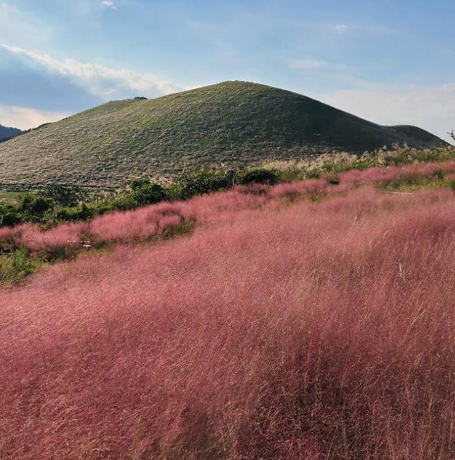 제주 카페 새빌