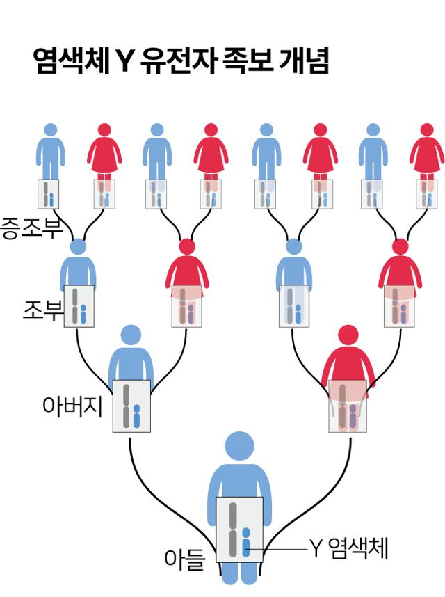 그래픽=송정근기자