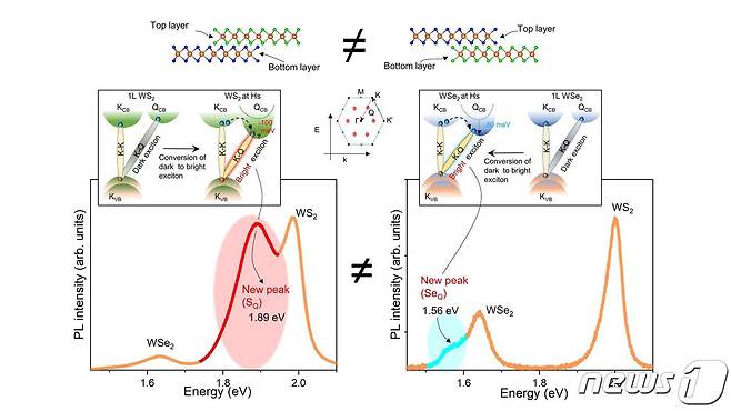 두 개의 단일층 반도체 물질을 적층 시 발생하는 다크 엑시톤 도식도 및 발생하는 엑시톤.(IBS 제공)/뉴스1