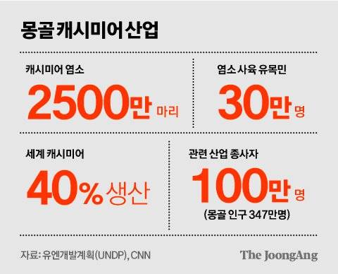 김영희 디자이너