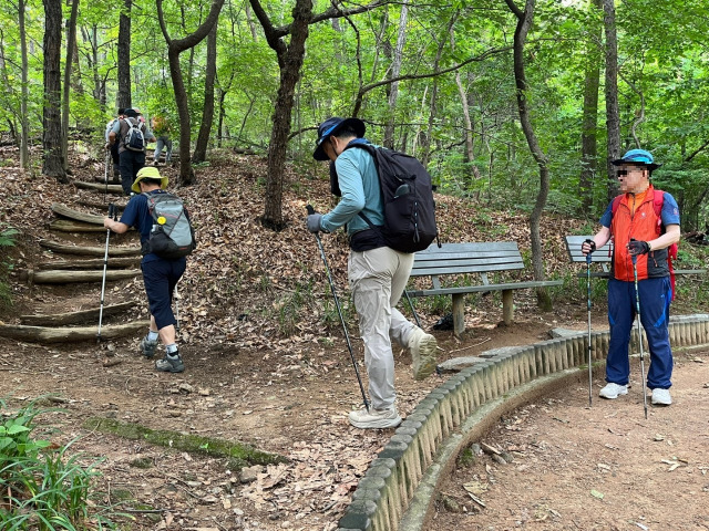 동작구 상반기 등산학교 참여자들이 삼성산을 등산하고 있다. 동작구청 제공