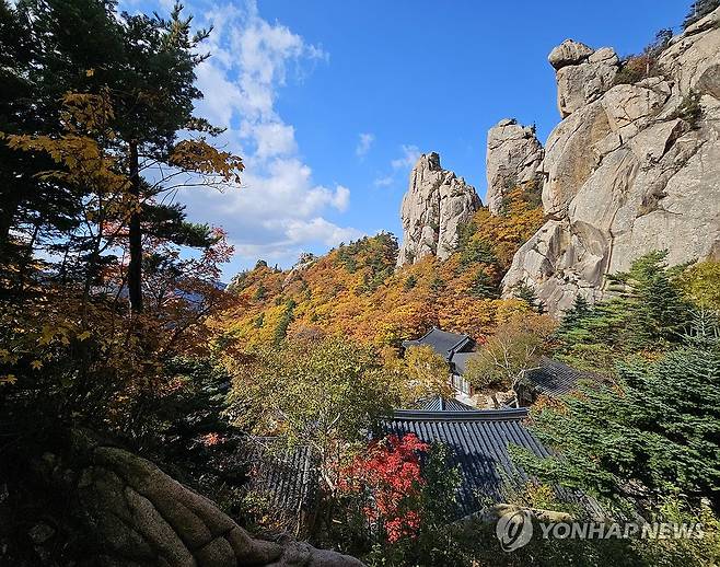 깊어 가는 산사의 가을 (인제=연합뉴스) 양지웅 기자 = 계절이 완연한 가을로 접어든 12일 강원 설악산 국립공원 내 봉정암 인근 단풍이 곱게 물들어 있다. 2023.10.12 yangdoo@yna.co.kr