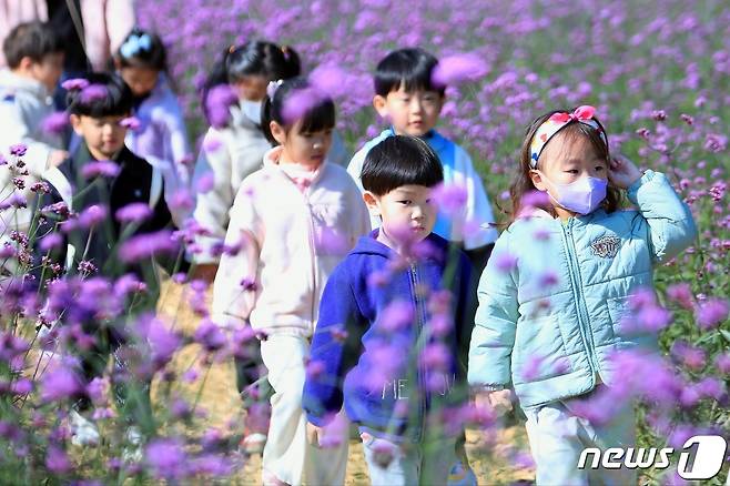 12일 강원 인제 용대리 관광단지 일원 인제가을꽃축제장에서 어린이들이 가을 나들이를 즐기고 있다. 인제군은 기존 15일까지였던 축제기간을 오는 22일까지 일주일 연장했다. (인제군 제공) 2023.10.12/뉴스1 ⓒ News1 이종재 기자