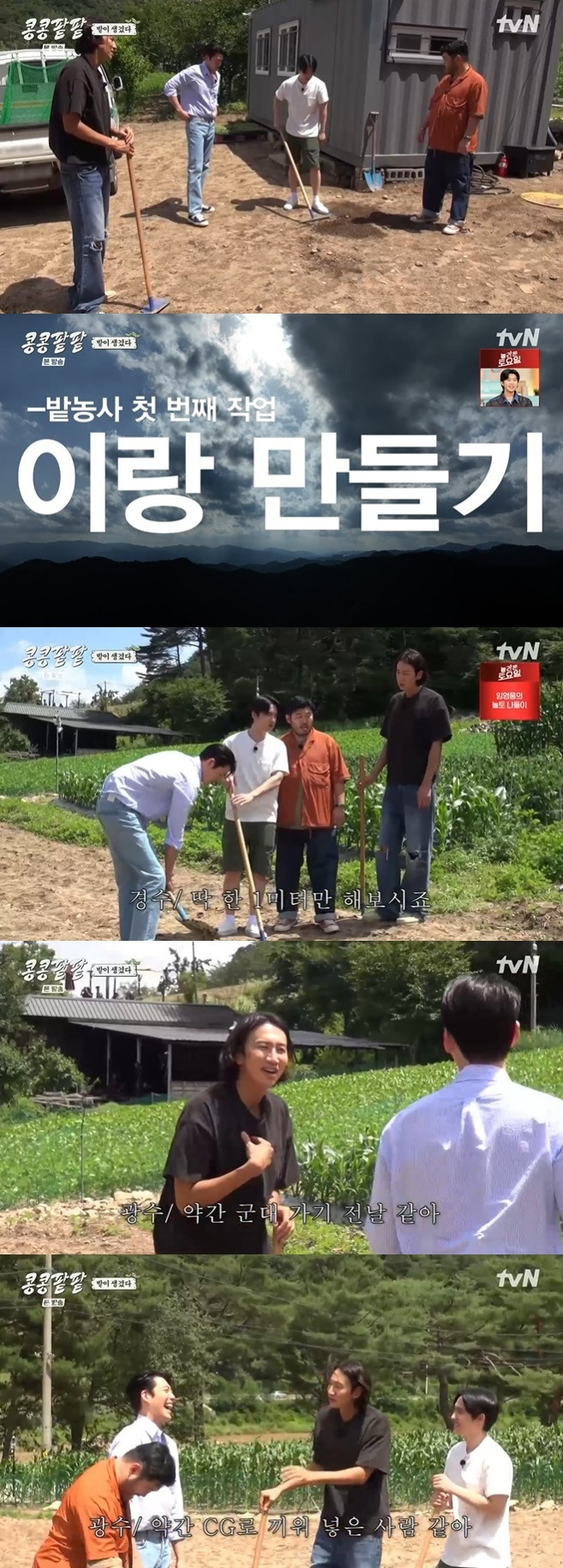 tvN '콩콩팥팥' 캡처